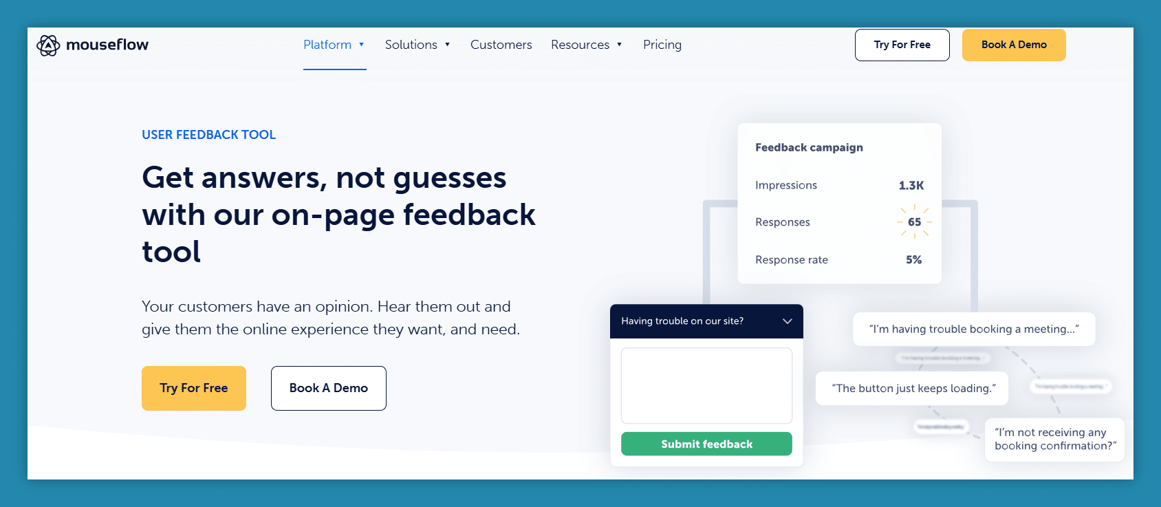 Enterprise survey software example: Mouseflow