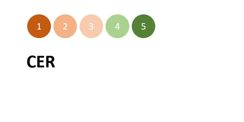 CER (Customer Experience Rating)